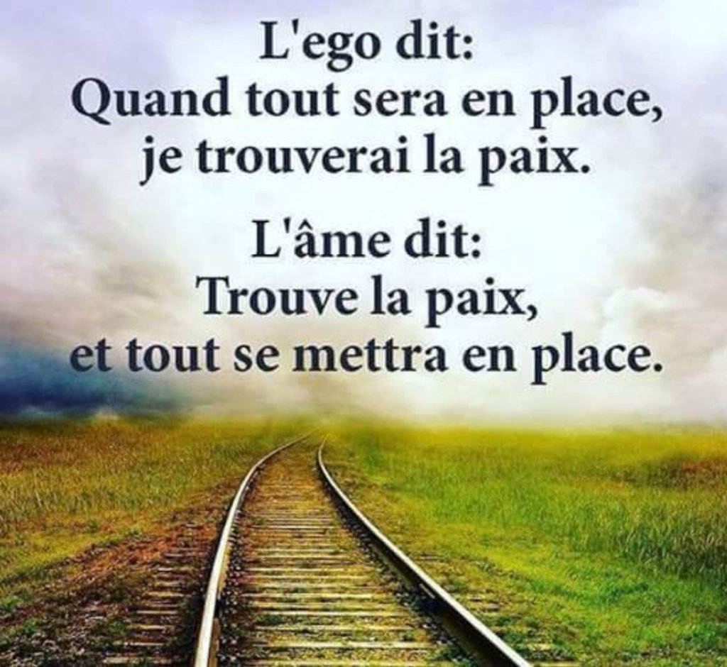 Ma citation préférée du jour&nbsp;⭐⭐⭐