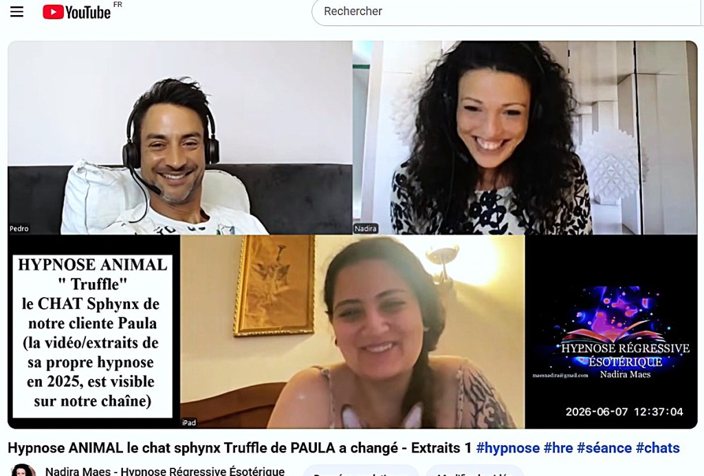 Extraits séance d&rsquo;hypnose ANIMAL&nbsp;&raquo; le chat sphynx Truffle de PAULA a changé&nbsp;&laquo;&nbsp;